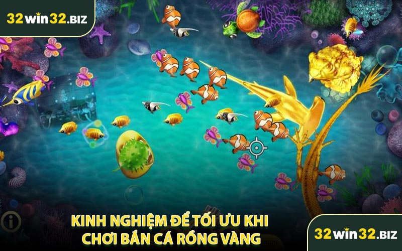 Kinh Nghiệm Để Tối Ưu Khi Chơi Bắn Cá Rồng Vàng